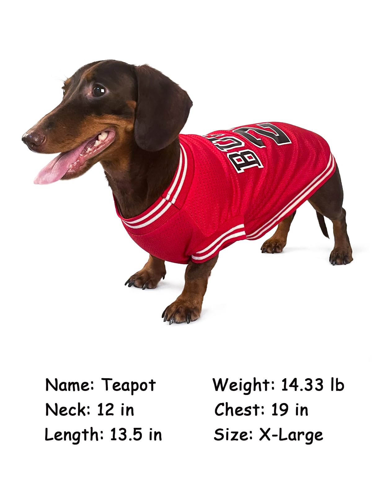 Dog Clothes Basketball Mesh Breathable T-Shirt,Pet Clothes Puppy Sportswear Spring/Summer Fashion Dog Shirt. (Orange, Large)