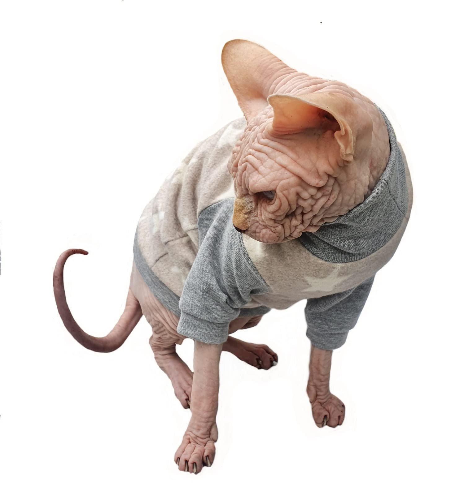 Kotomoda Hairless Cat'S Cotton Stretch Winter Sweater Sort Stars. Organic Fleece For Sphynx Cat (X-Large)