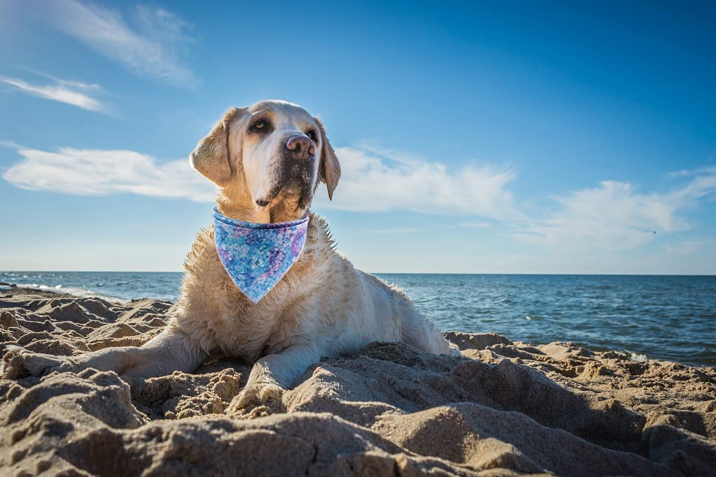 Lionet Paws Dog Bandana,Fabric Dogs Kerchief For Small Medium Large Dogs,Dog Cotton Triangle Bibs Scarf For Girl Boy