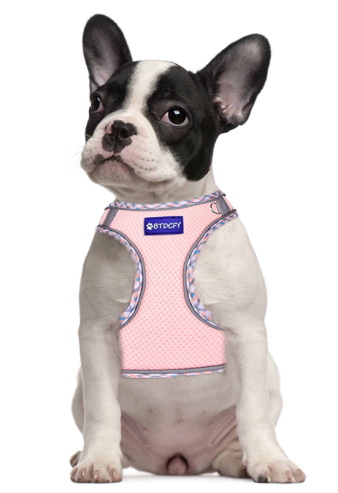 Btdcfy Step In Mesh Dog Harness And Leash Set, Breathable Air Mesh Reflective, Escape Proof, No Choke, Lightweight, Pink, Large