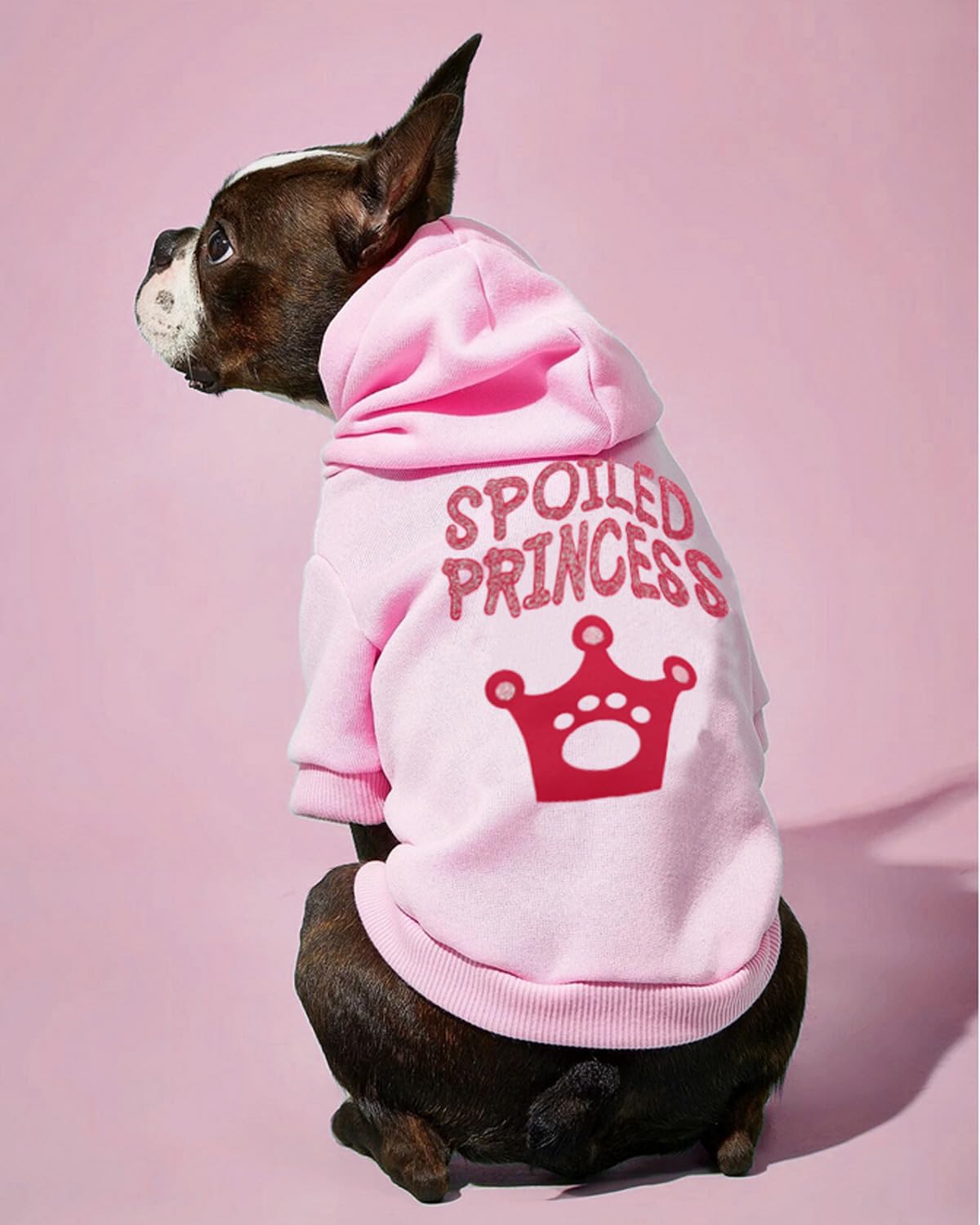 Droolingdog Girl Dog Shirts Girls Dog Clothes Puppy Hoodie Pet T Shirt For Small Dogs, Medium