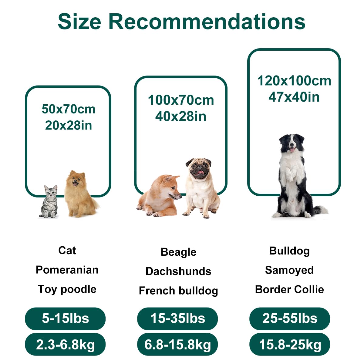 Onarway Dog Blanket Washable for Puppy: 4 Packs Dog Blankets 28   x20    - Fluffy Soft Small Throw for Cat Puppy Kitten Dogs - F