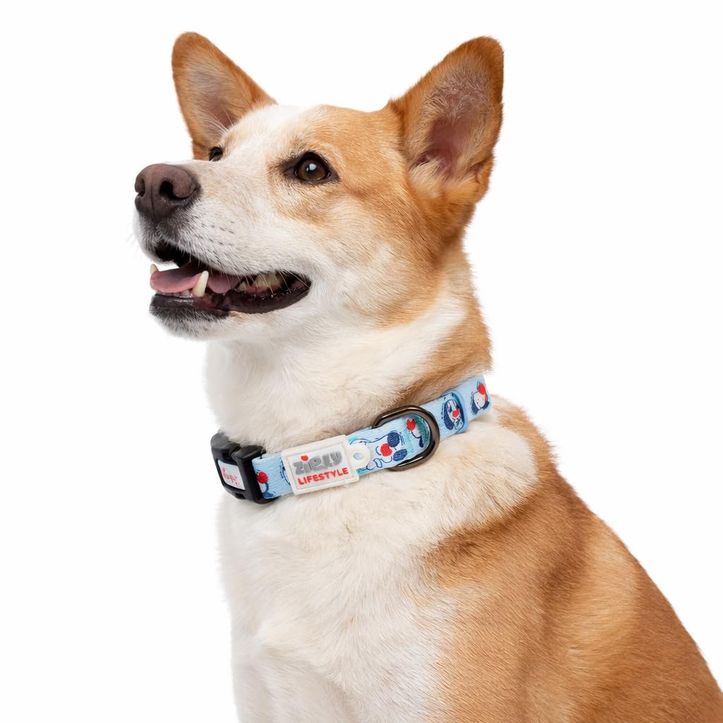 Zigly Lifestyle Doodle Dog Collar For Medium Dogs | Adjustable Durable Stylish Pet Collar For Everyday Use | Comfortable Daily W