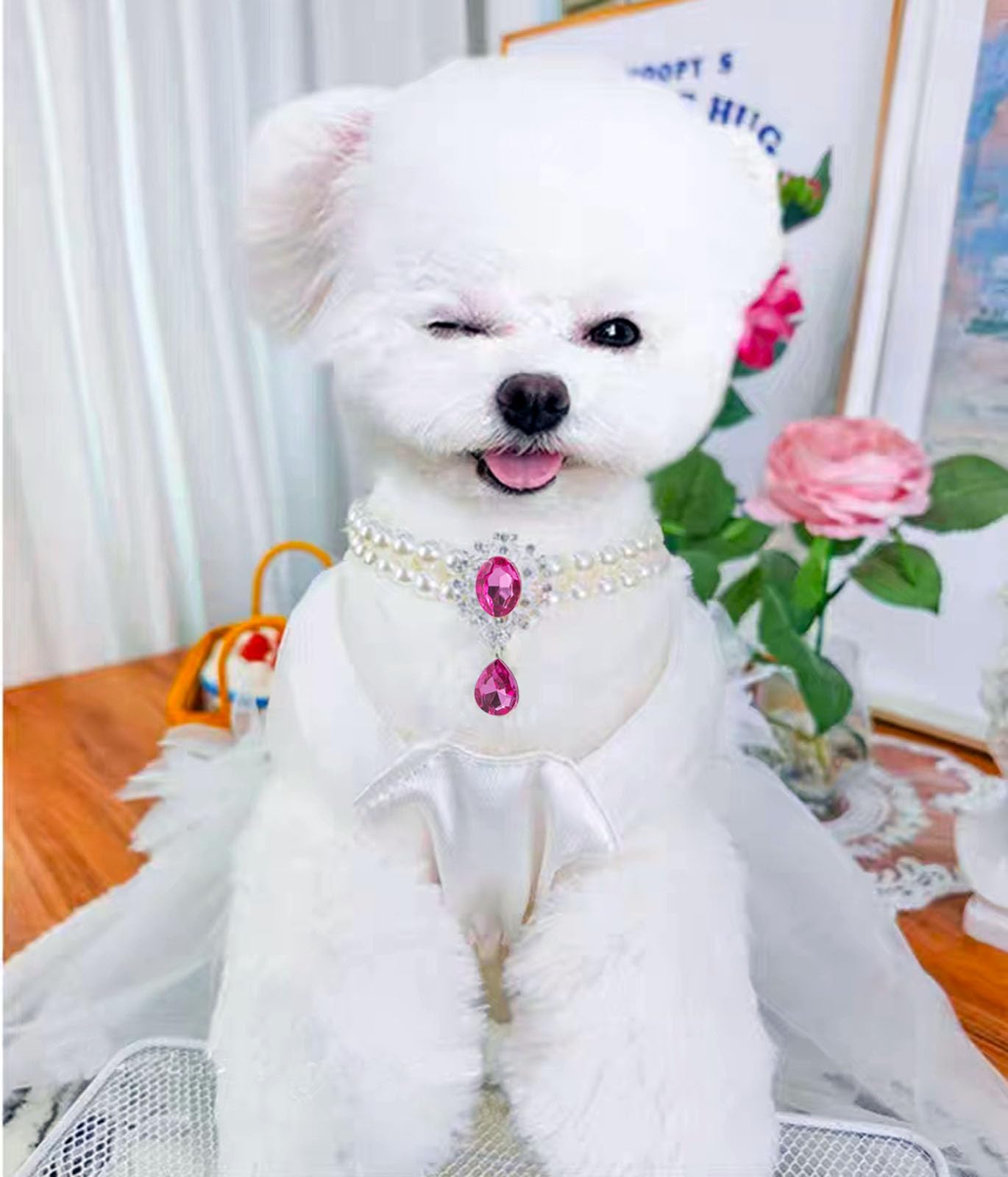 Daovace 2 Row Pearls Collar For Cats Pearl Dog Collar Rhinestone Necklaces For Small Dogs Collar Accessories Cat Pearl Collar (M
