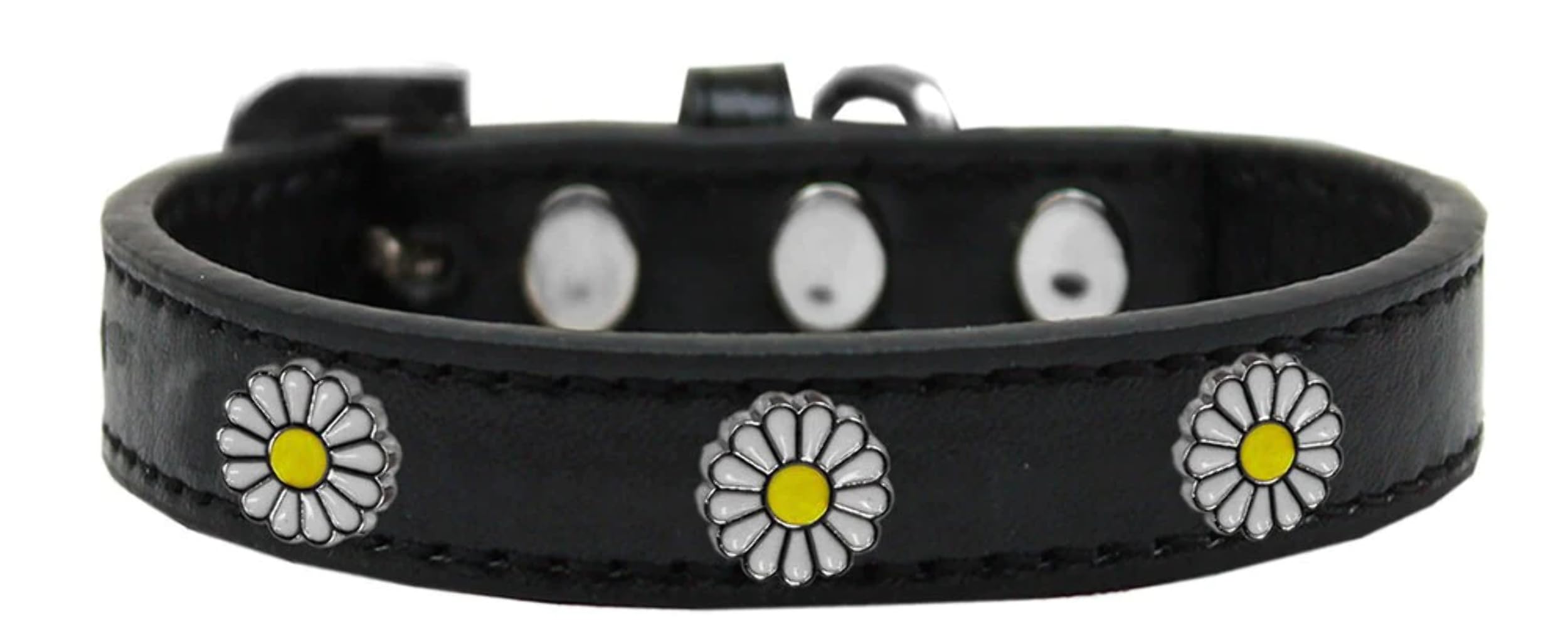 Dog, Puppy and Pet Widget Fashion Collar, "White Daisies" Aqua 18