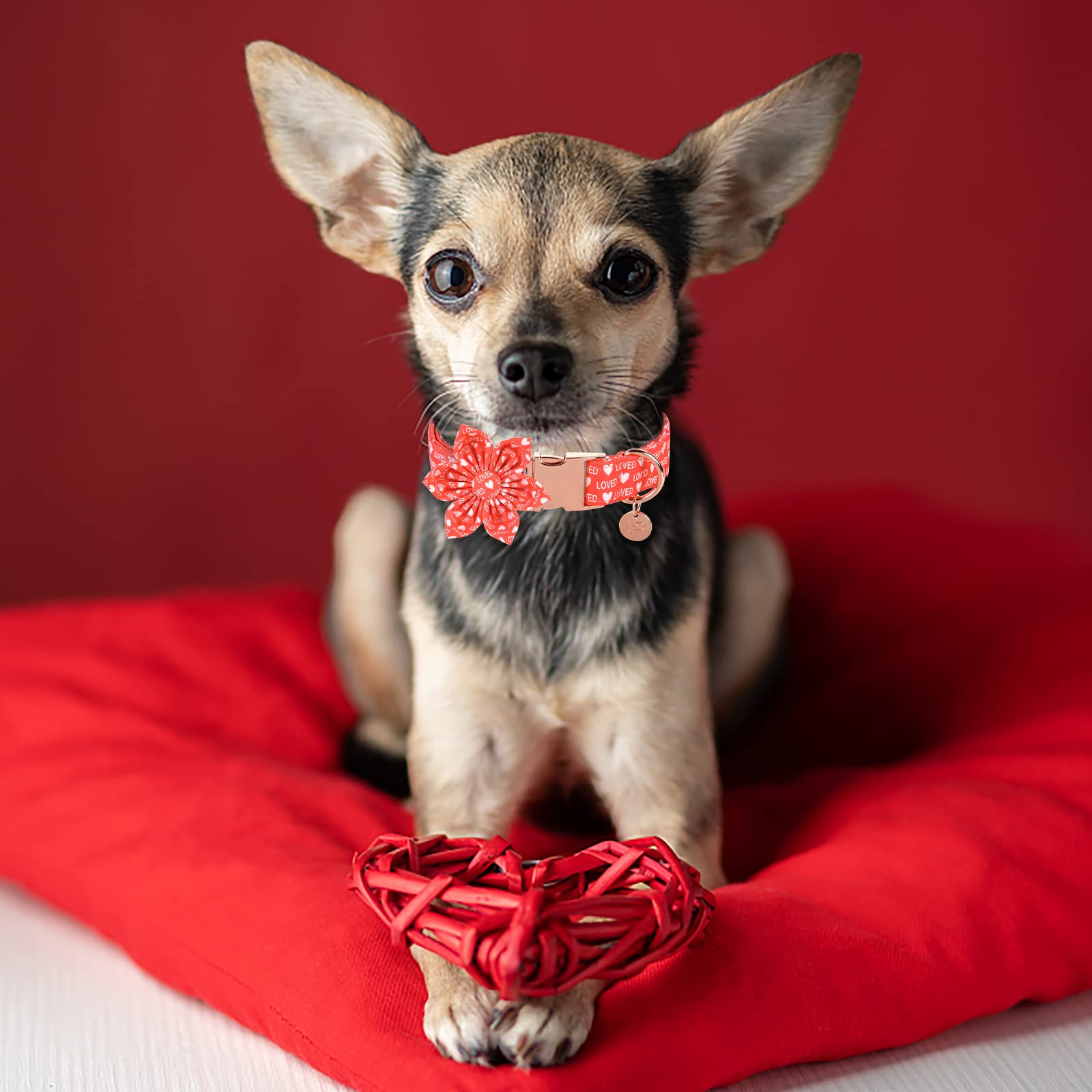 Up Urara Pup Valentine’S Day Dog Collar With Flower, Valentine Flower Collar With Metal Buckle, Valentine’S Day Gift Pet Collar For Medium Girl Dog, Wedding Dog Collar, Red, M, Neck 13.5-22In