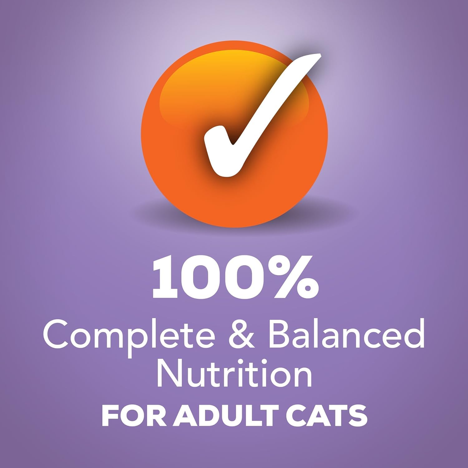 Friskies Savory Shreds Turkey and Cheese Wet Cat Food (5.5-oz can, case of 24)