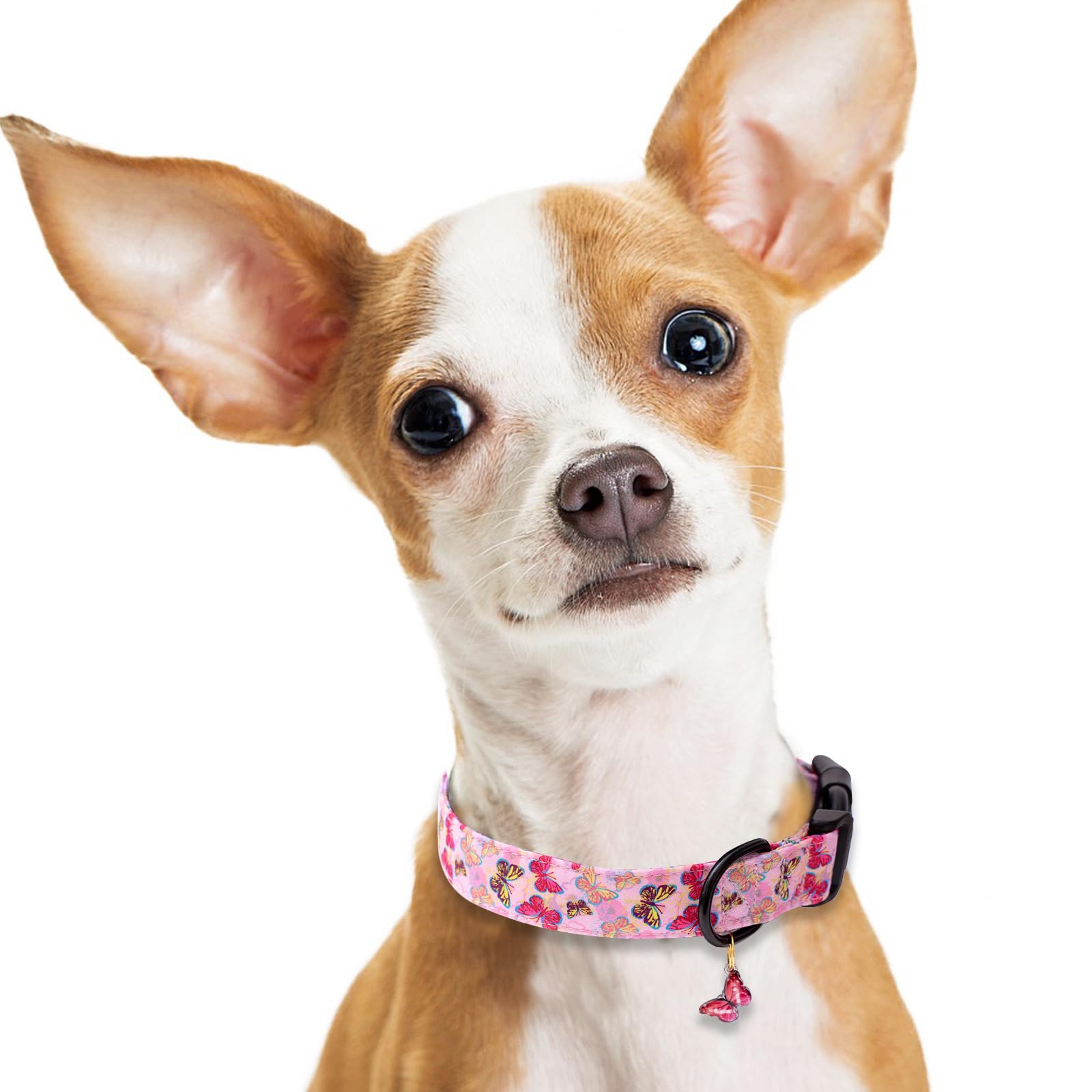 Faygarsle Dog Collar For Small Medium Large Dogs Cute Pink Puppy Collars For Female Dogs Butterfly Patterned Pet Collars For Sum