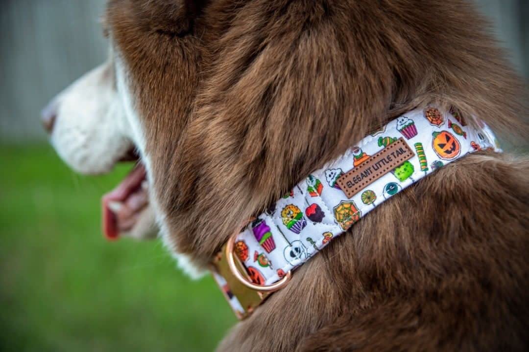 Elegant Little Tail Dog Collar With Bow - Fall Dog Collar Halloween Candy Bow Girl Boy Pet Collar Soft Dog Bowtie Collars For Small Dogs