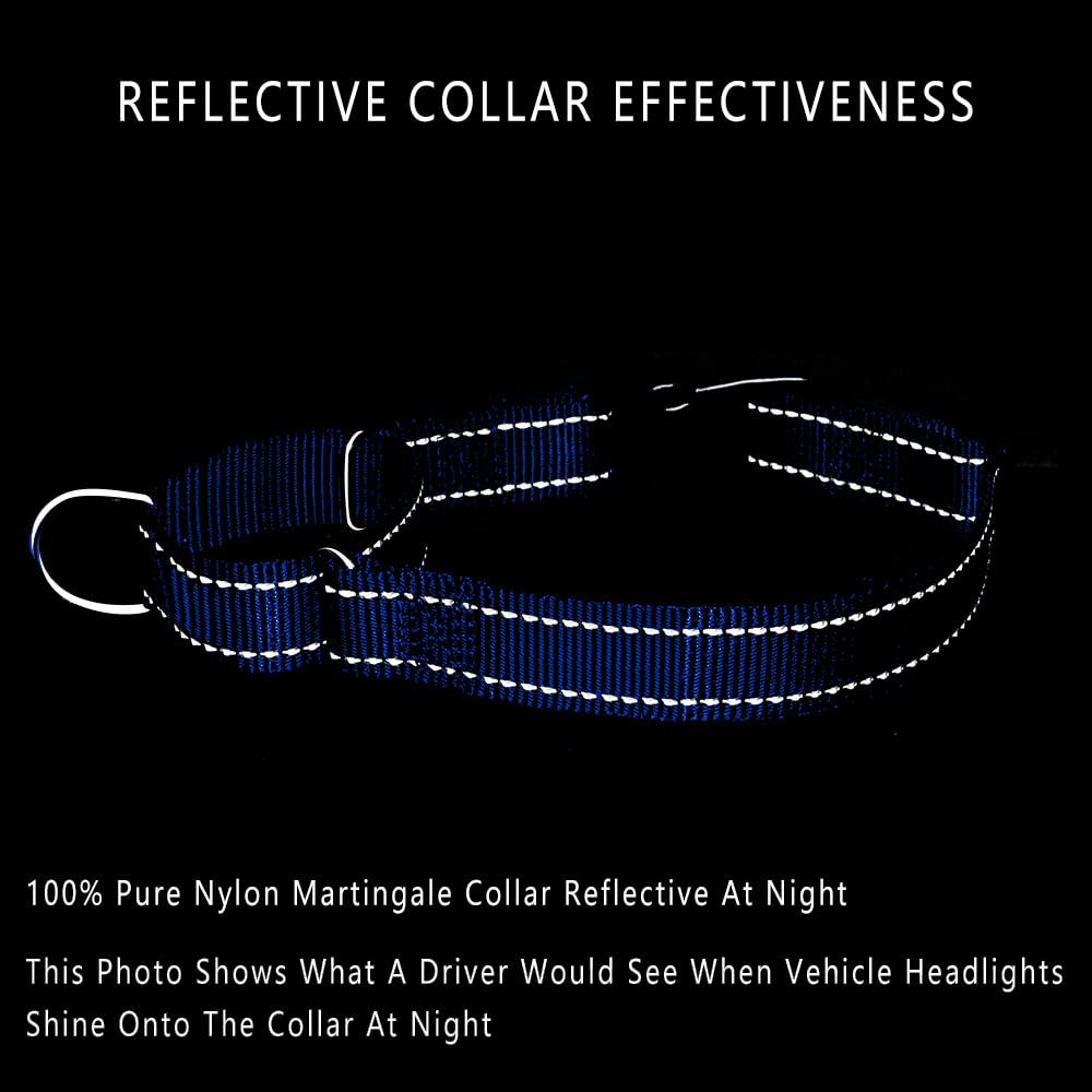 Plutus Pet Reflective Martingale Collar With Buckle - Durable And Adjustable Training Collar For No Pulling, Dog Choker Collar For Small Medium Large Dogs, Navy Blue, M