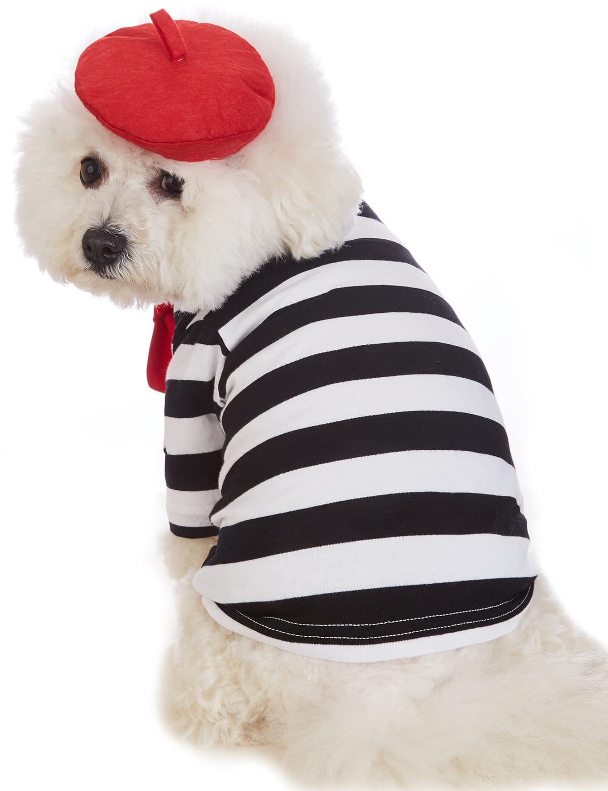 Coomour Artist Dog Costume With Funny Hat Painter Pet Clothes For Small Dog Shirts Puppy Summer T-Shirt (2Xl) Black