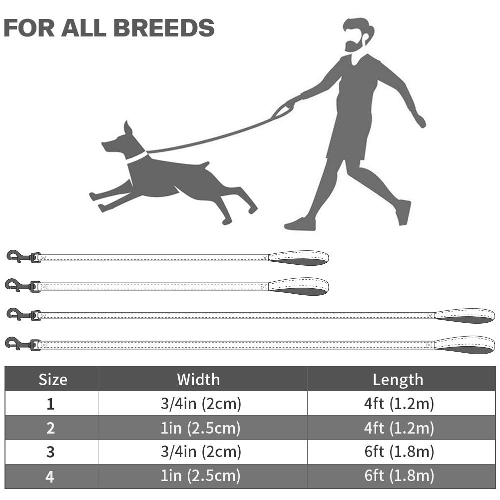 Taglory Nylon Dog Leash 6Ft, Soft Padded Handle Pet Reflective Leashes For Medium Large Dogs Walking & Training,Tan