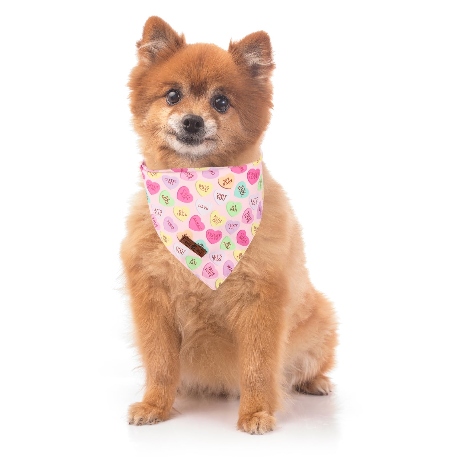 Lionet Paws Valentine'S 2Pcs Dog Bandanas, Red Floral Dog Scarf Bib Premium Fabric, Happy Valentine Heart Bandanas For Medium La