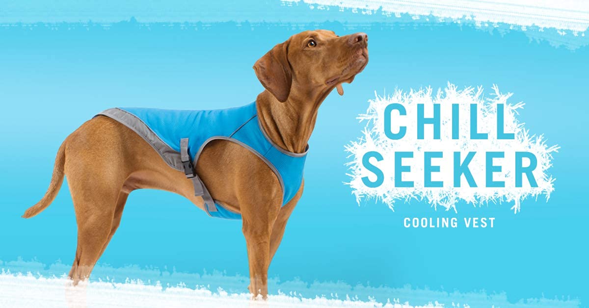 Canada Pooch Dog Cooling Vest - Evaporative Cooling Vest For Dogs With Breathable Mesh Material & Reflective Lining, Adjustable For Dogs 8 (7-9' Back Length), Rainbow