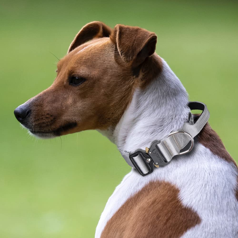 Tspro Premium Dog Collar With Handle Thick Dog Collar Adjustable Dog Collar Heavy Duty Quick-Release Metal Buckle Dog Collar For Small Or Medium To Extra Large Dogs(L-Silver)