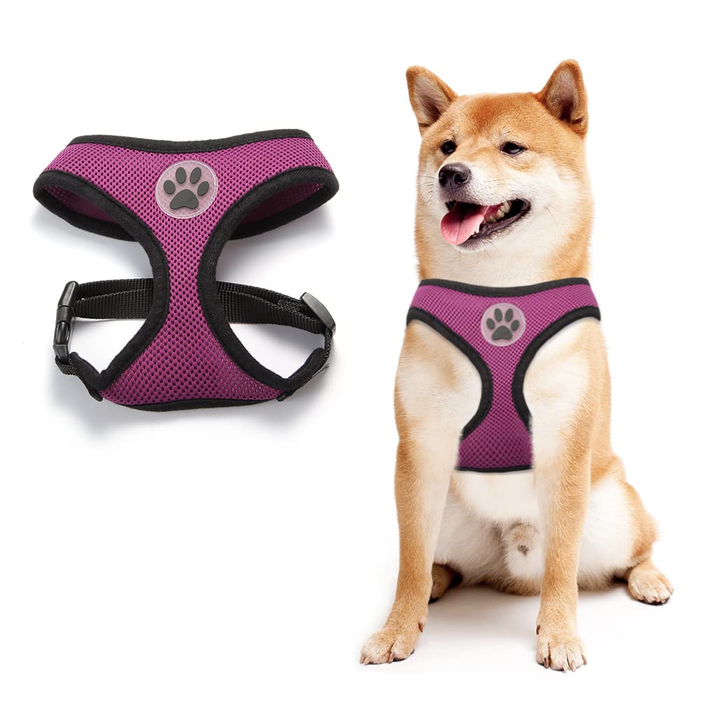 Bingpet No Pull Dog Harness For Small Medium Dogs,All Weather Mesh Step In Vest Harness For Small Dogs,Breathable Mesh Puppy Cat Harnesses,Step-In Air Dog Harness For For Small Dogs,Purple,Medium
