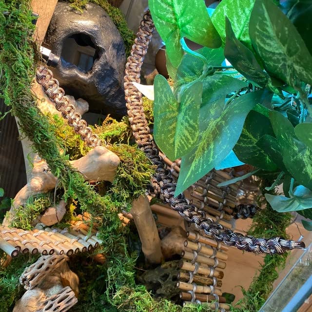 Abizoo Gecko Climbing Branch 23'' Length,Hermit Crab Toy Chameleon Case Accessories,2 Piece Snake Habitat Terrarium Decor Vine W