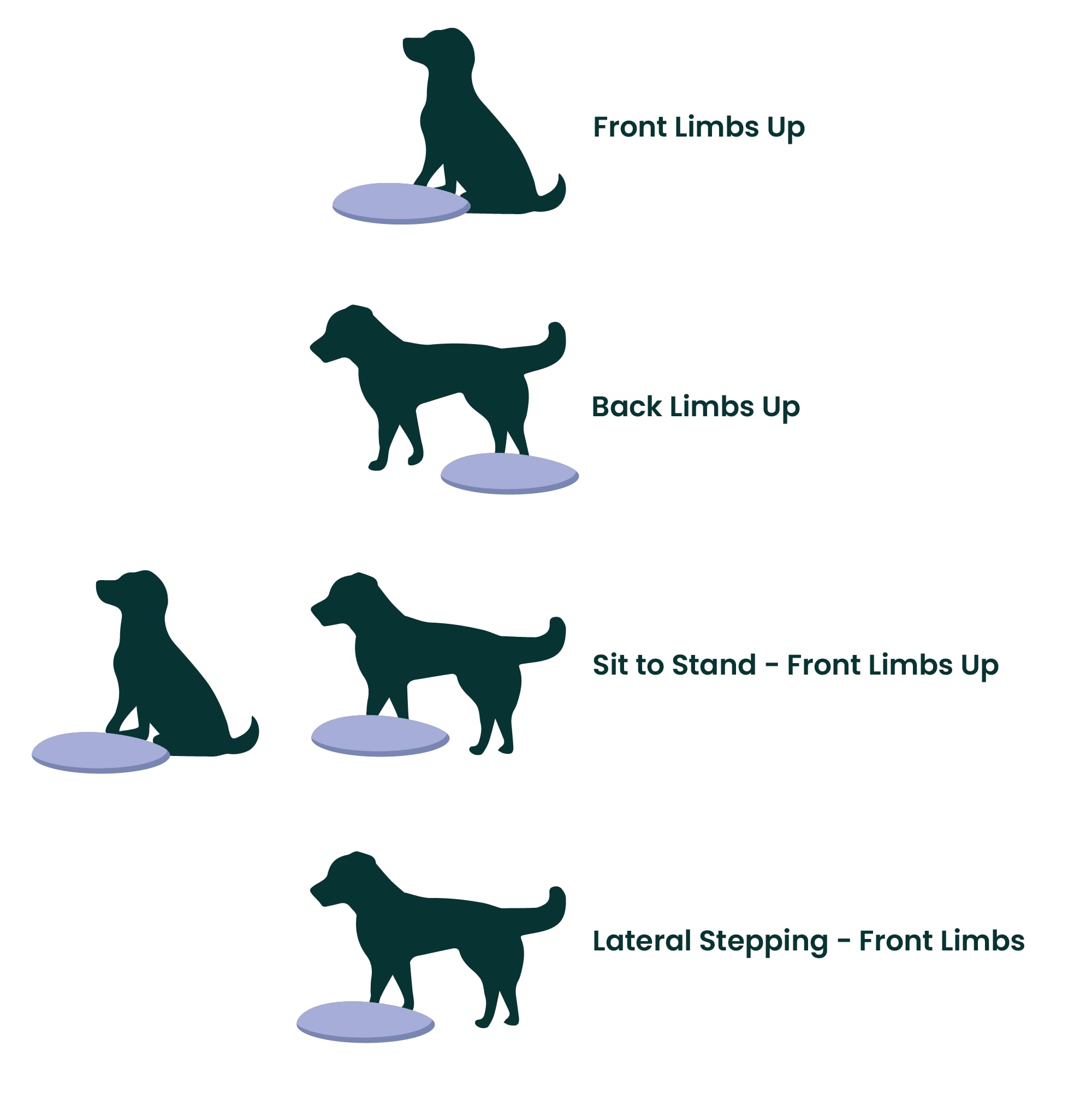 Fitpaws® Dog Balance Disc – 22”, Razzleberry | Dog Exercise Equipment | Workout Tool For Strength, Core, Stability & Rehabilitation