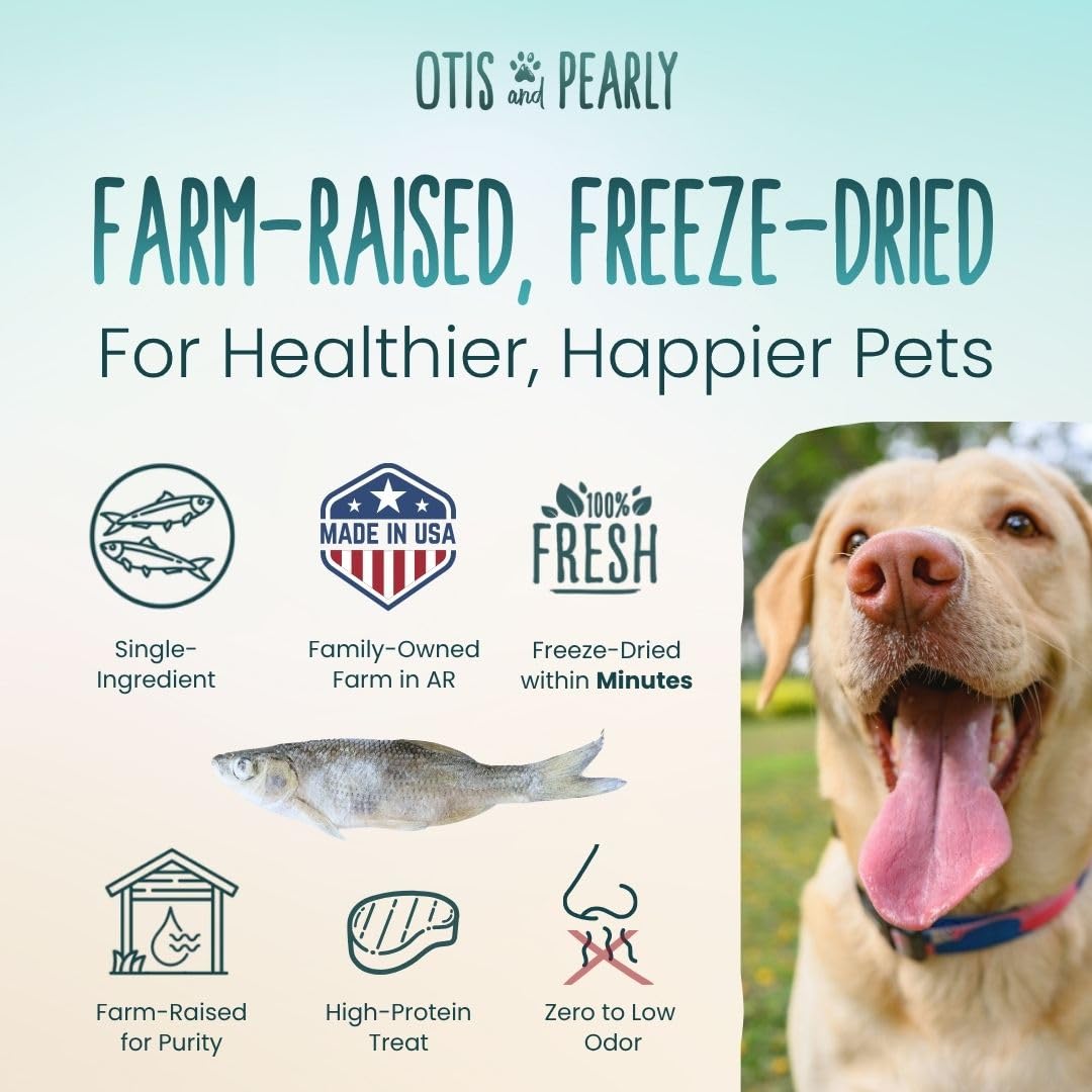 Otis & Pearly Freeze Dried Minnow Dog Treats - Single Ingredient, Made in USA - Healthy Protein Treat for Small, Medium, Large B