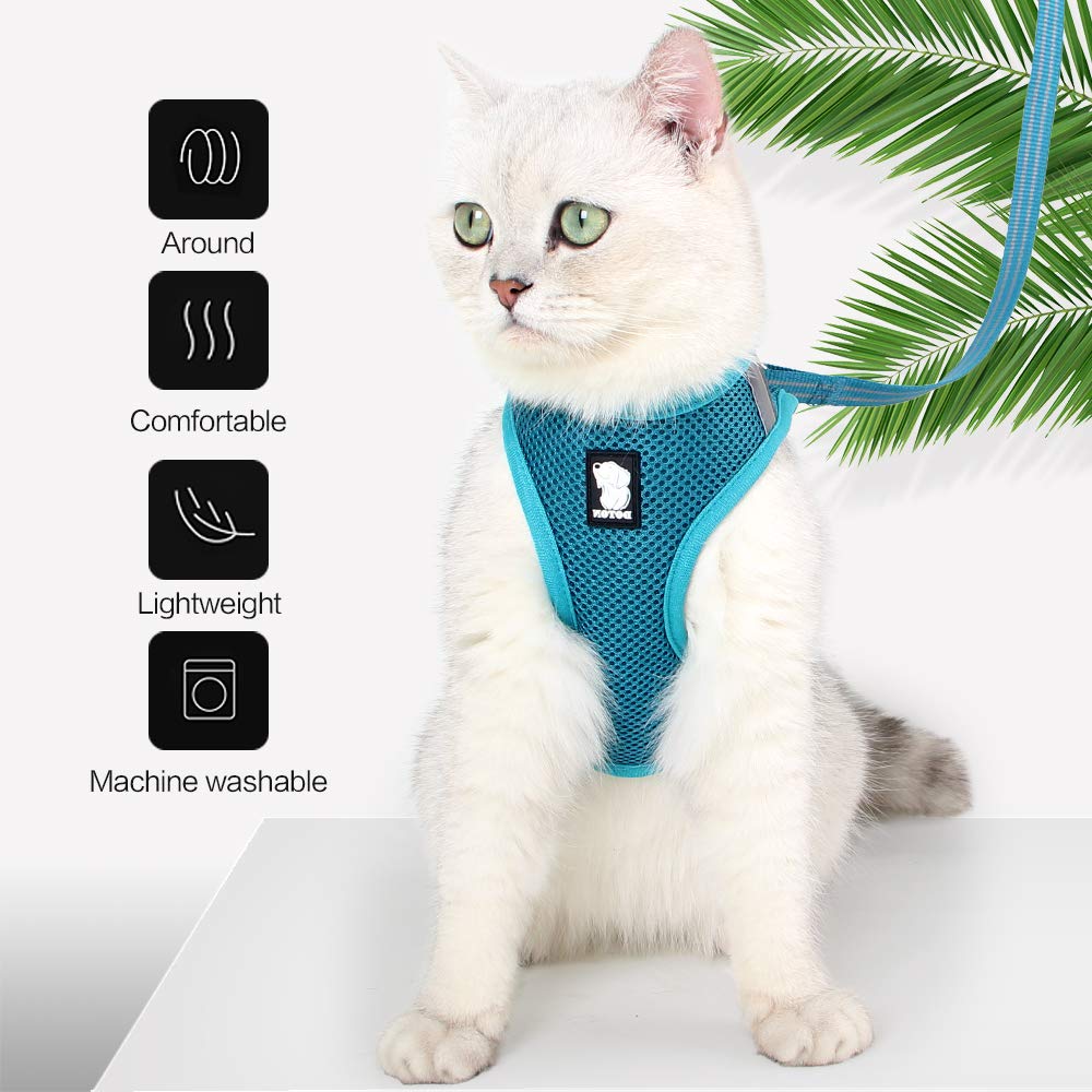 Heywean Cat Harness And Leash - Ultra Light Escape Proof Kitten Collar Cat Walking Jacket With Running Cushioning Soft And Comfortable Suitable For Puppies Rabbits (L, Turquoise)