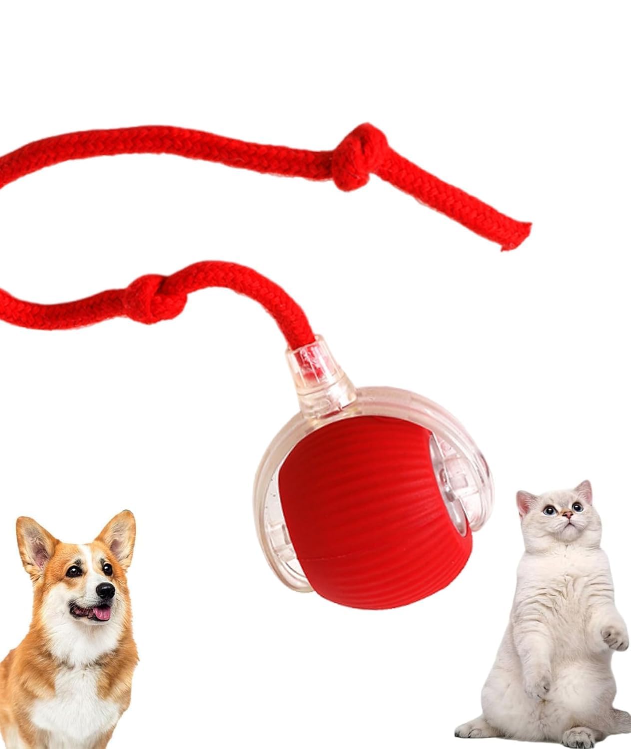Ctn Enterprise Electric Automatic Rolling Moving Rechargeable Self Play Stimulation Toy,Smart Pet Chase Ball With Speedy Tail Ro