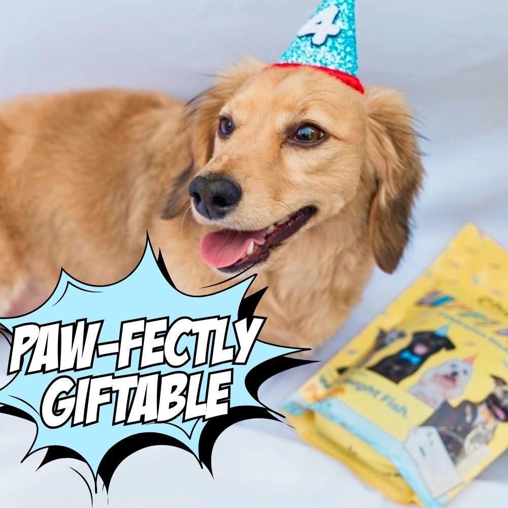 Chippin Dog Birthday Soft Treat, Great Gift, Wild-Caught Fish, Pumpkin Jerky for Dogs, No Chicken, Grain-Free, Hypoallergenic |