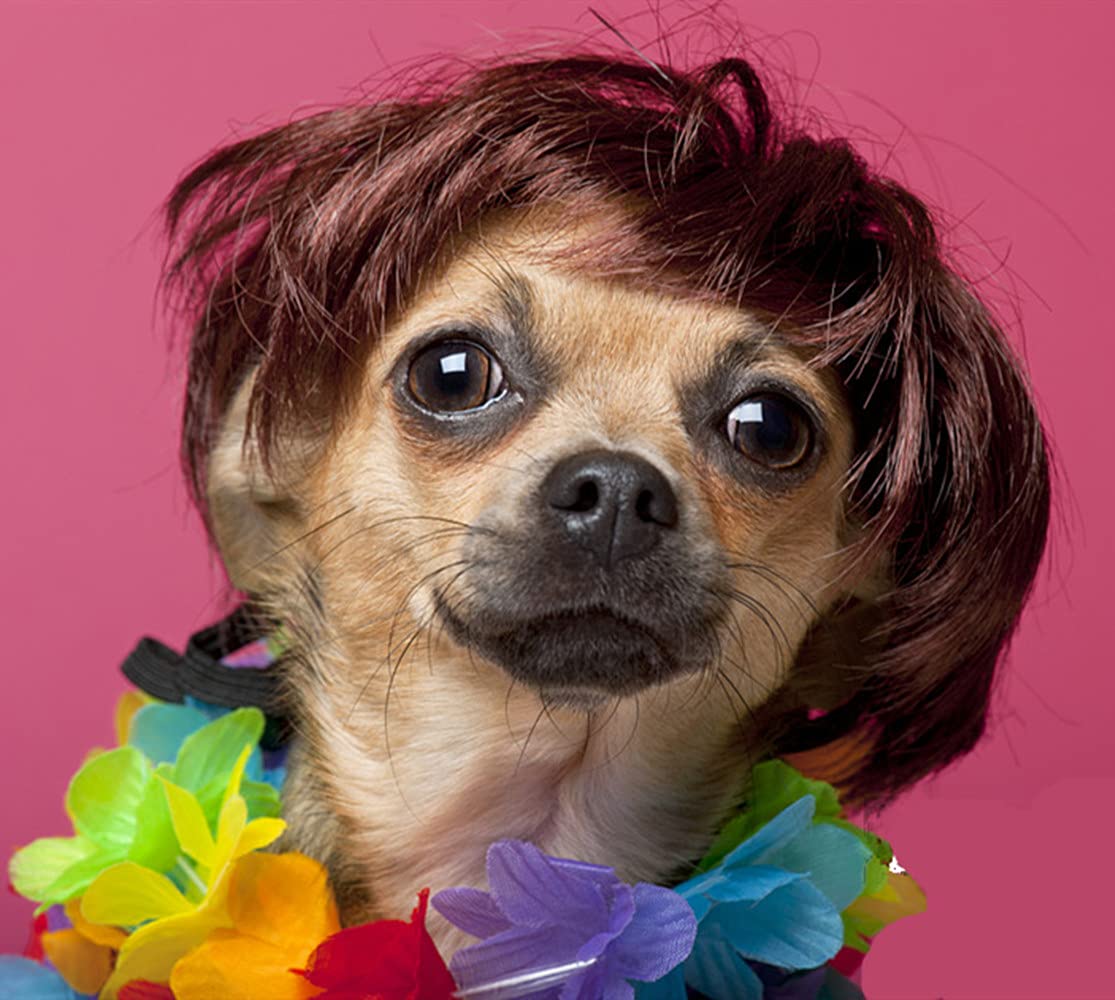 Dog Wig Pet Costumes, Cat Costume Synthetic Accessories Small Dog Headwear For Halloween Christmas Eve Festival Party Decor, Head Wear Apparel Toy (B)
