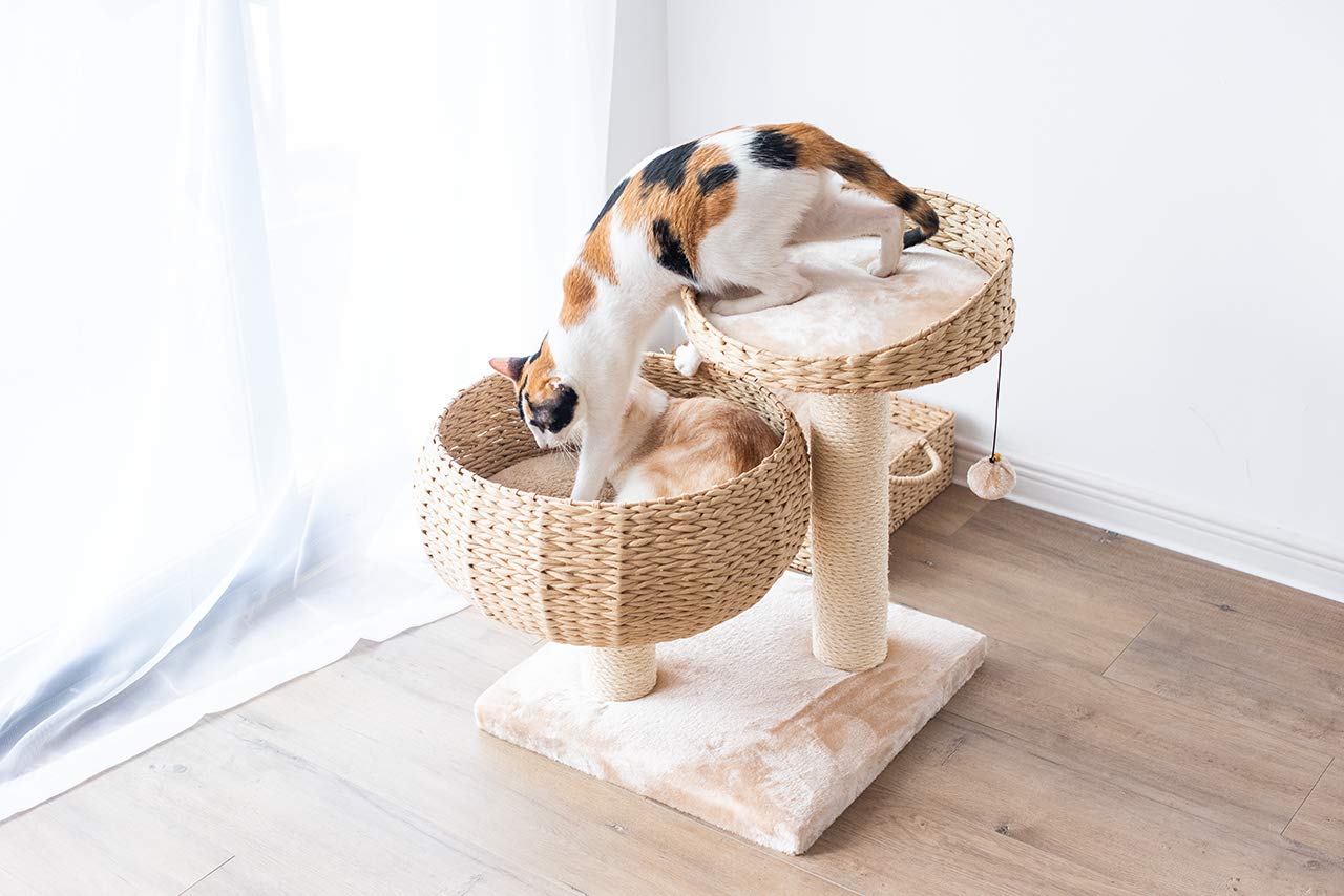 Petpals Paper Rope Natural Bowl Shaped With Perch Cat Tree