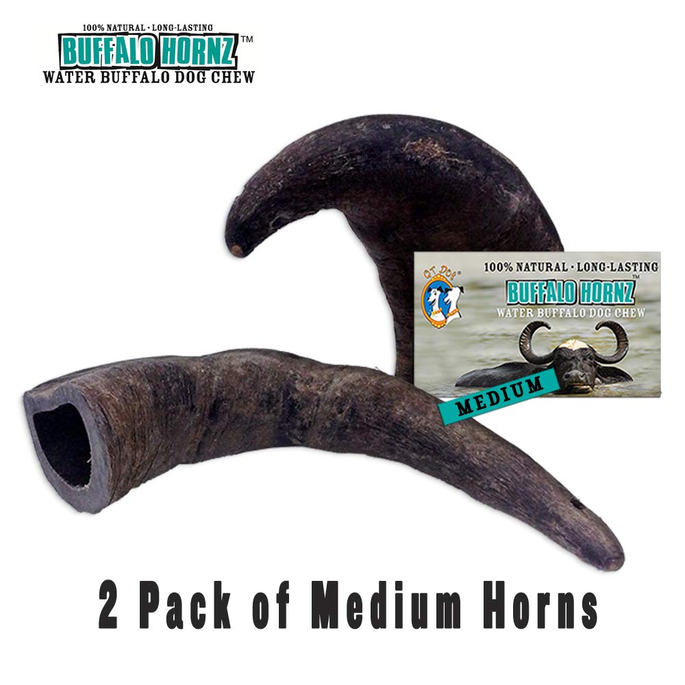 2 Pack of Buffalo Hornz Medium Long Lasting 100% Natural Water Buffalo Horn Dog Chews
