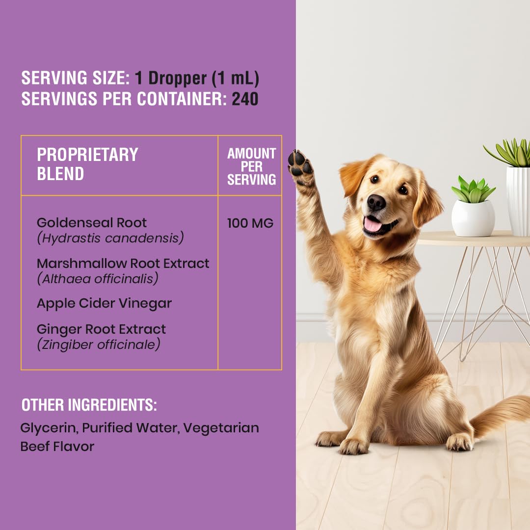 Special Breed Natural Yeast Infection Relief for Dogs, 8oz Liquid Drops - Supports Allergy & Immune Health, Reduces Itching & Irritation
