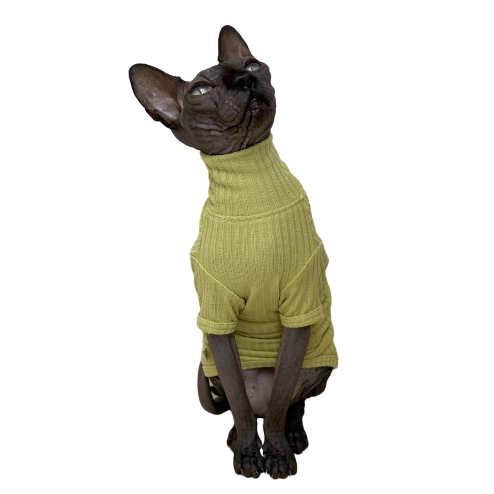 Sphynx Cats Shirt Cat Turtleneck Cotton Sweater Pullover Kitten T-Shirts with Sleeves Cat Pajamas Jumpsuit for Sphynx Cornish Re