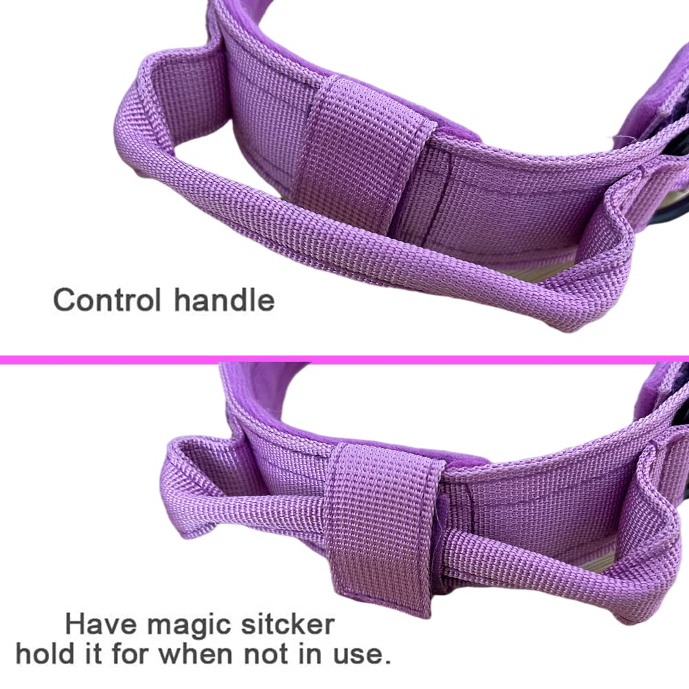 Tactical Dog Collar And Leash Set Tactical Dog Collar With Handle Bungee Leash Adjustable Military Training Nylon Collar Dog Training Collar Leash Set With Control Handleand Metal Buckle(Purple S