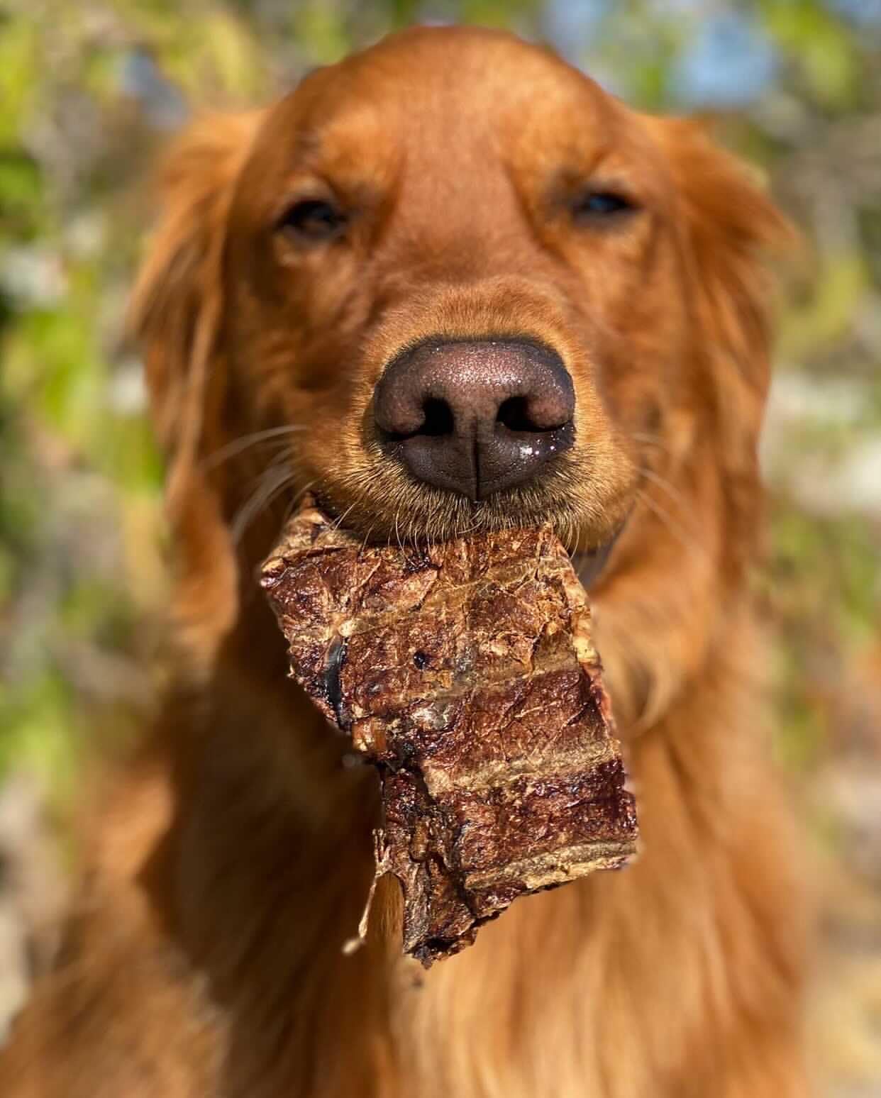 Redbarn Pet Products Natural Choppers Beef Lung Chew Treats for Dogs - Premium Made in USA Rawhide-Free Single Ingredient High P