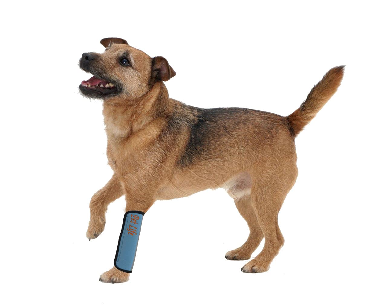 Extreme-Neoprene Joint Protective Reflective Pet Sleeves(D0102H7LZ9Y.)