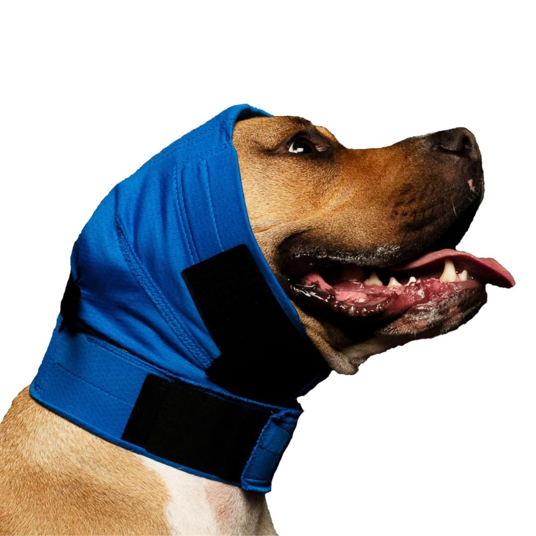 No Flap Ear Wrap (Blue Pinpoint Mesh, Large)