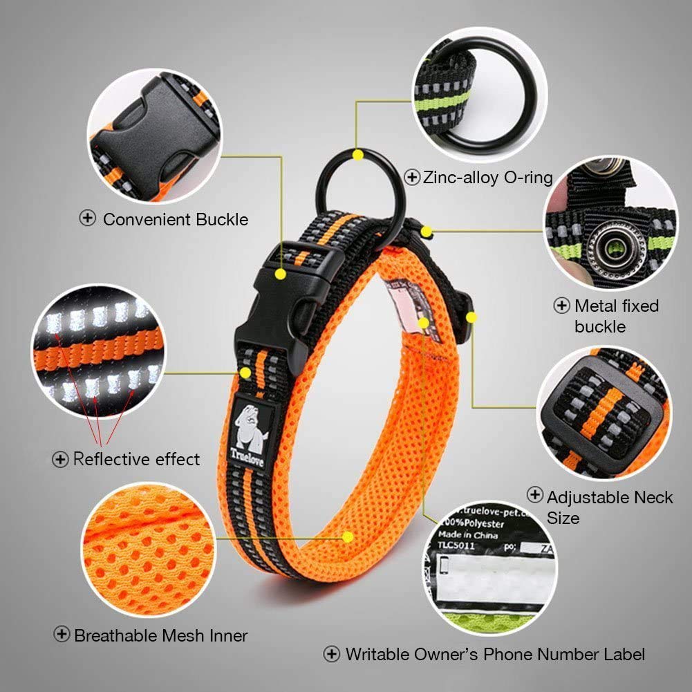 Creation Core Reflective Nylon Dog Collar And Training Leash Set For All Season Padded Durable Adjustable, Blue Xl