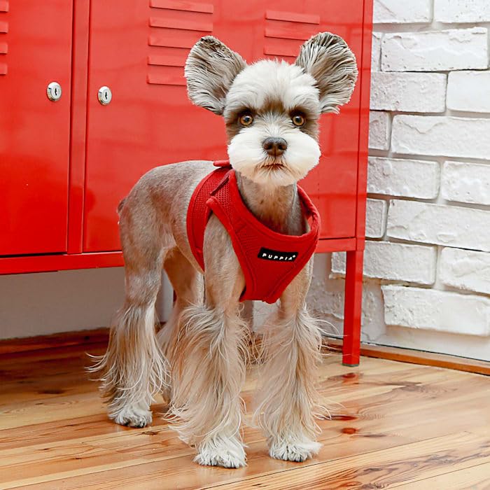 PUPPIA International PUAH305WNMD Soft Harness B Vest, Medium, Wine