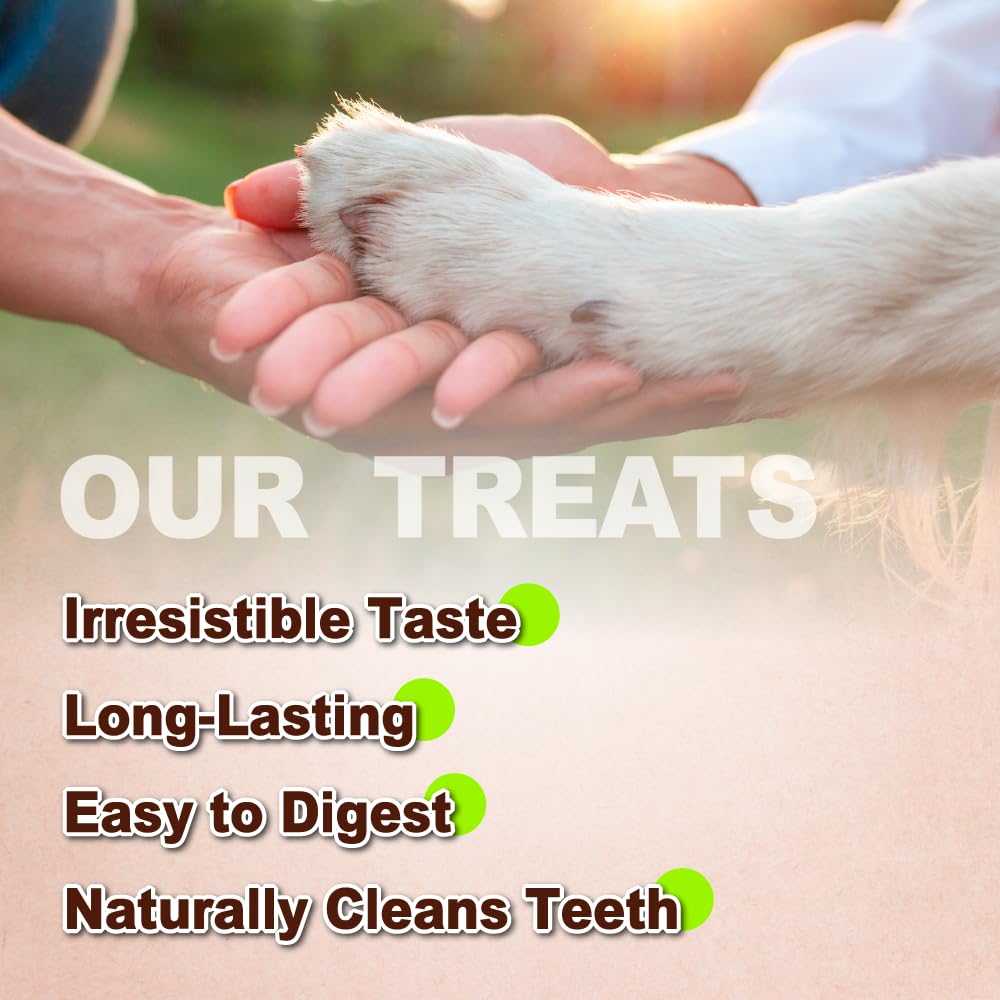 Afreschi Natural Turkey Tendon Strip 10oz, Turkey Sourced from USA, All Natural Puppy Chew, Hypoallergenic, Rawhide Alternative