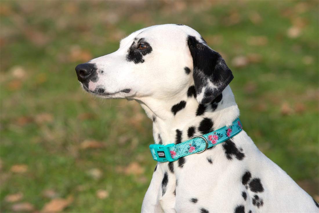 Yudote Floral Dog Collars Adjustable Nylon Collar With Quick Release Buckle For Female & Male Dogs, Green,Large