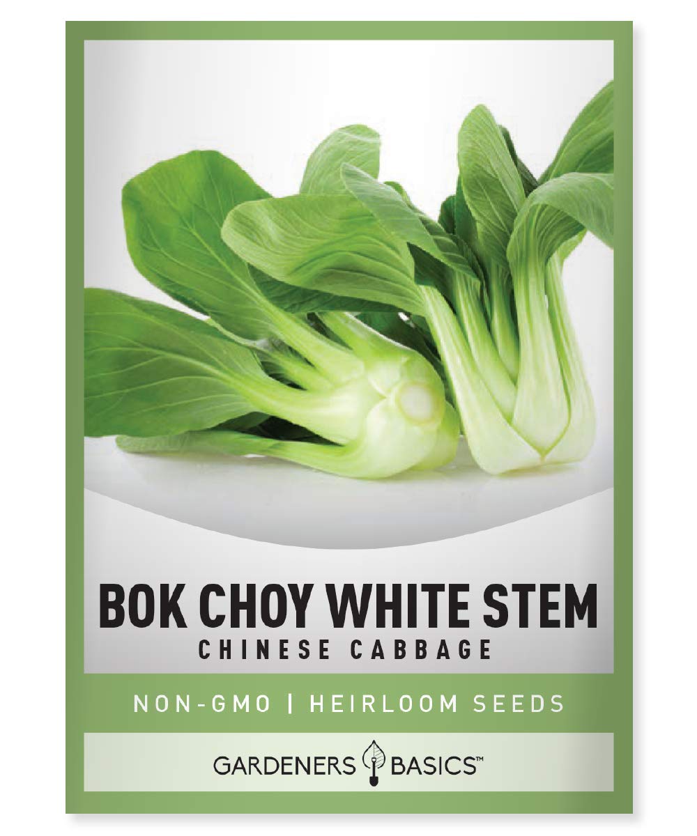 Bok choy chinese cabbage Seeds for Planting - (Pak choi) Heirloom, Non-gMO Vegetable Variety- 1 gram Seeds great for Summer, Spr