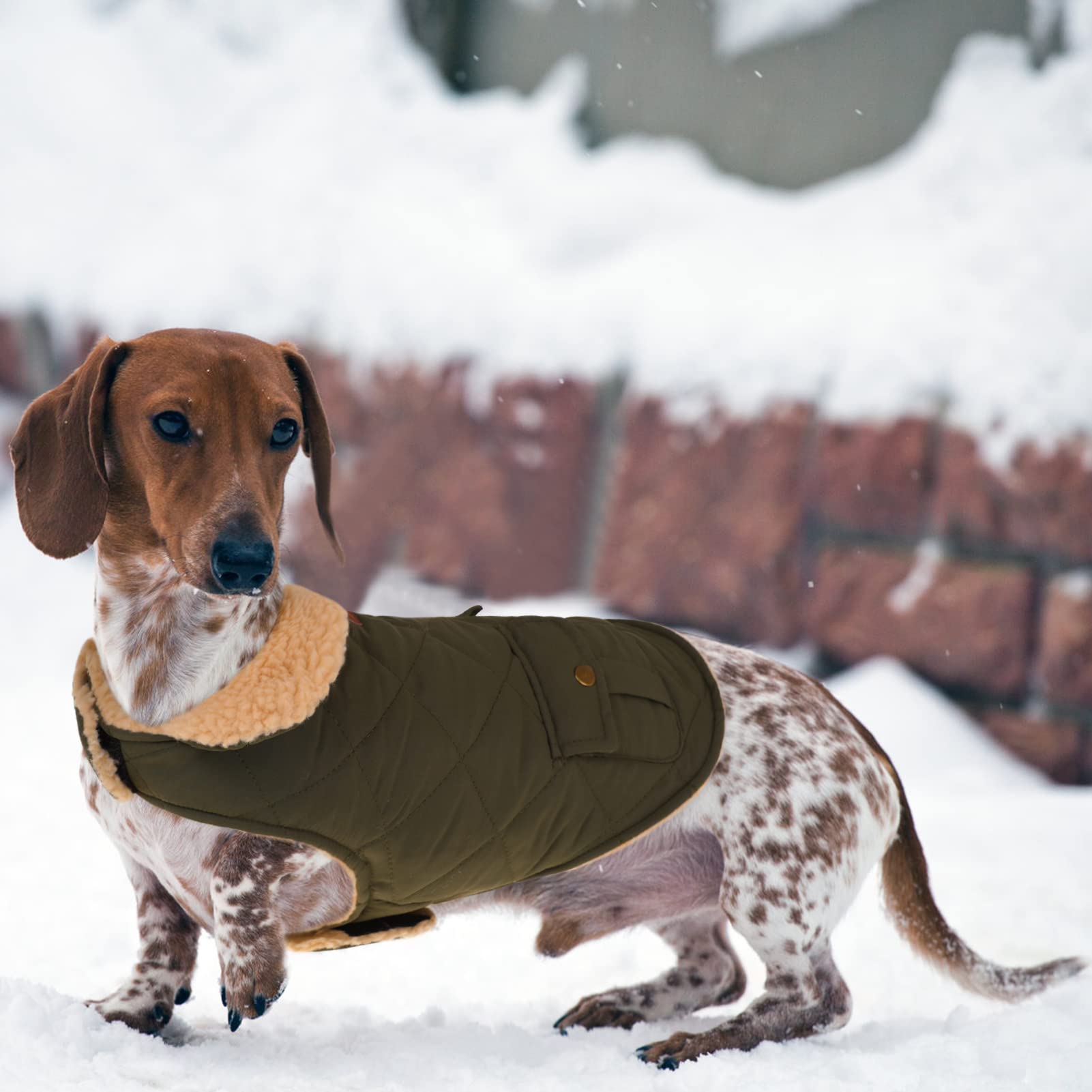 Queenmore Cold Weather Dog Coat, Winter Quilting Dog Jacket Ultra Warm Thick Plush Lining With Storage Pockets (Green, Small)