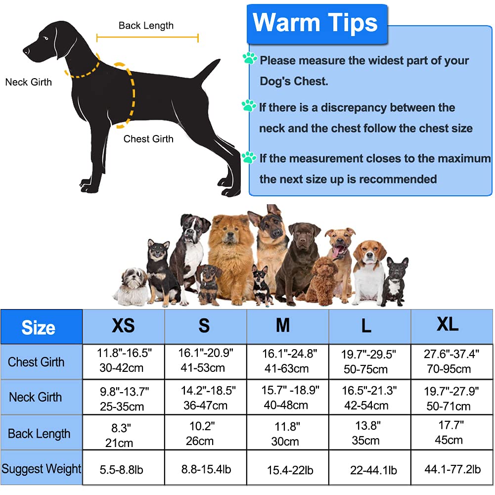 Petglad Dog Life Jacket, Wings Design Pet Life Vest, Dog Flotation Lifesaver Preserver Swimsuit with Handle for Swimming Pool Be