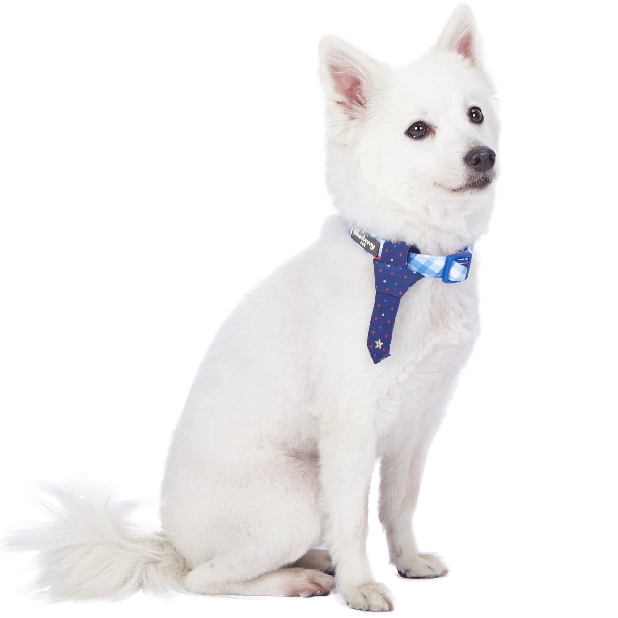 Blueberry Pet 4 Patterns Blue Hue Scottish Plaid Style Adjustable Tie Dog Collar, Medium, Neck 14.5-20