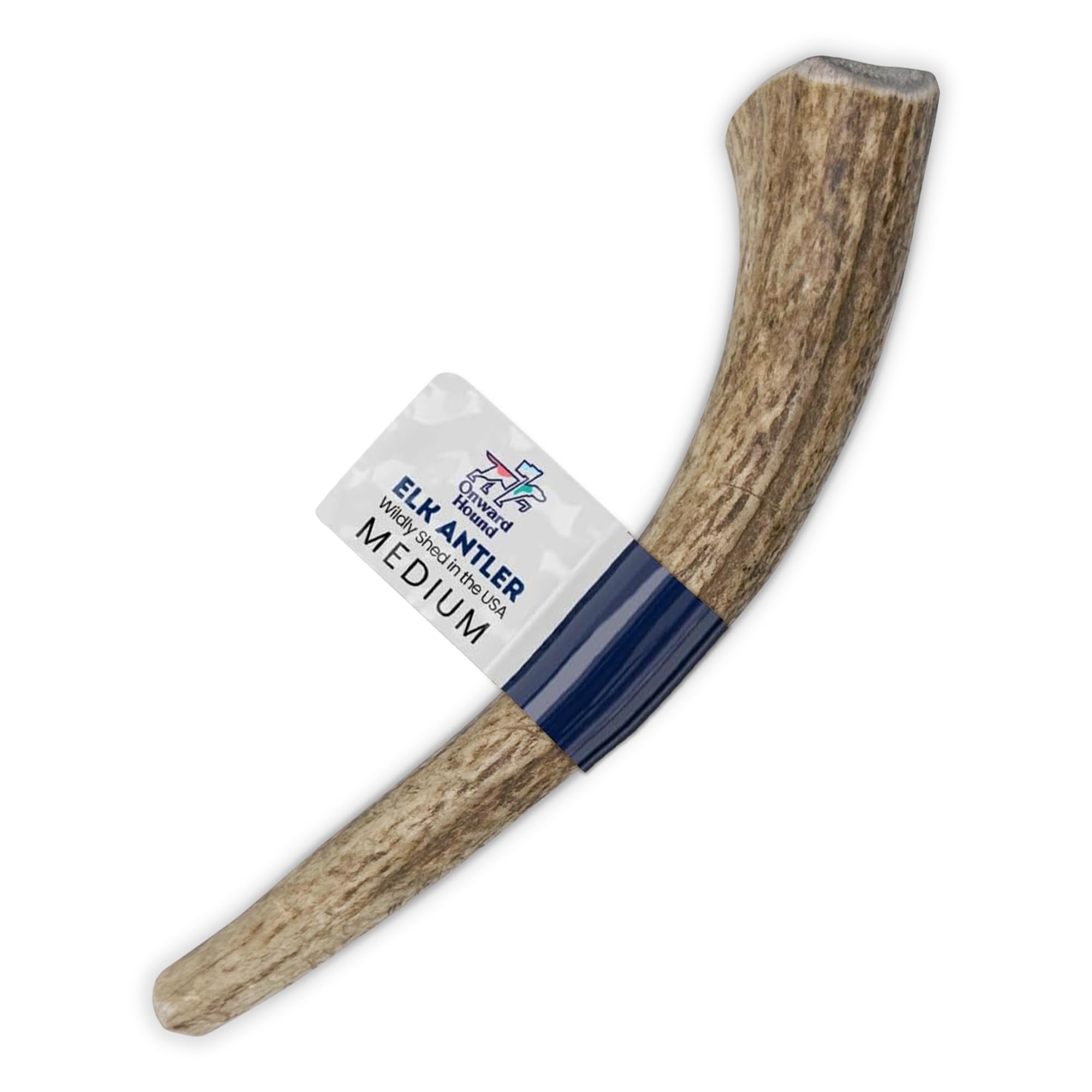 Onward Hound Elk Antlers for Dogs, 6+ Medium 1-Pack, Grade A Long Lasting Chew for Aggressive Chewers, Premium USA Naturally She
