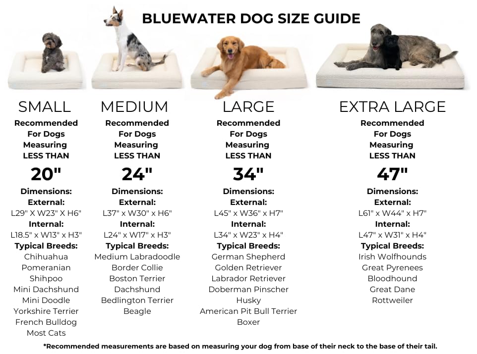 Bluewater Dog Luxury Boucle Orthopedic Memory Foam Dog Bed With Waterproof Liner And Machine Washable Cover With Ykk Zippers (Sm