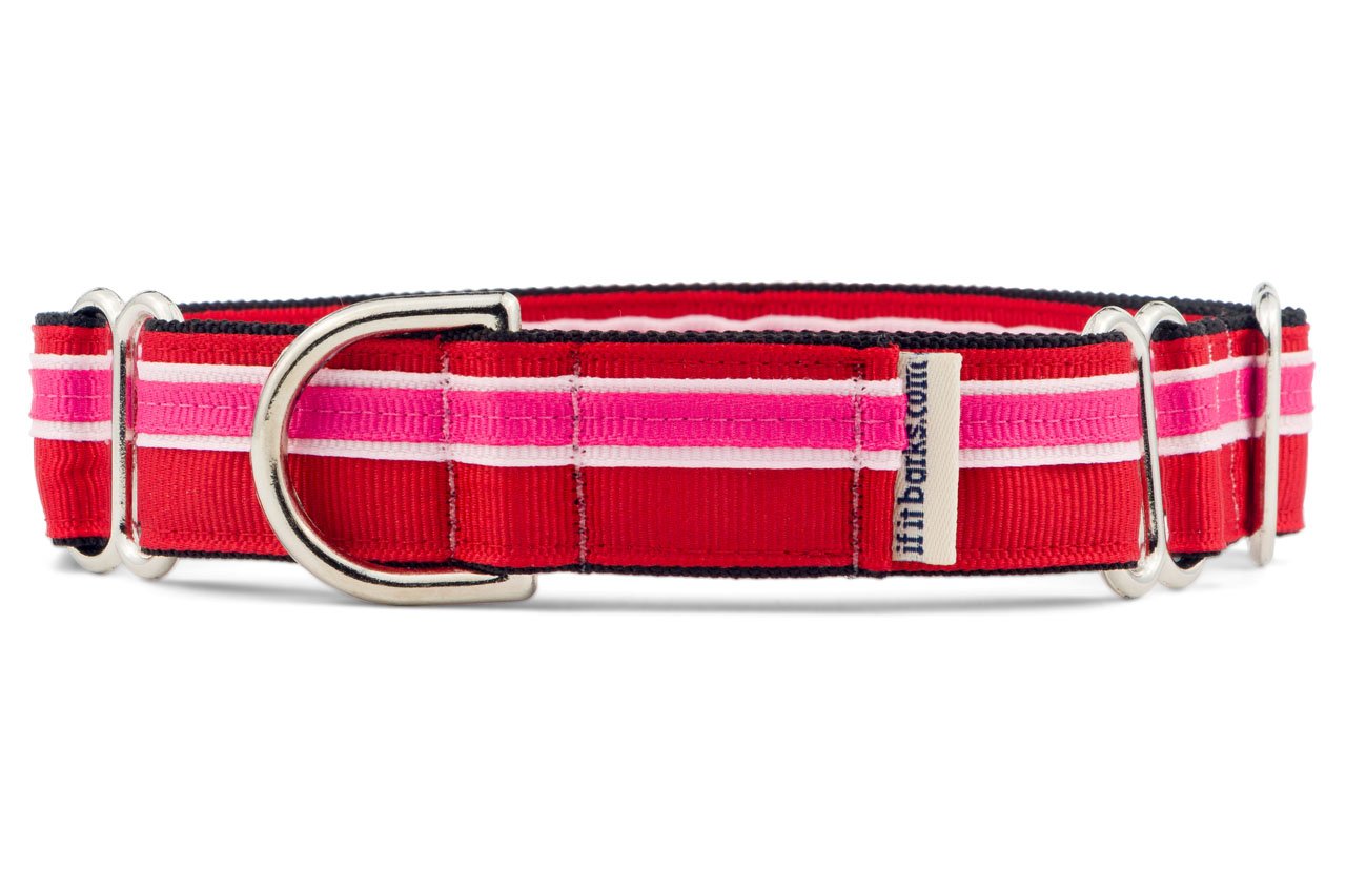 If It Barks 1'' Martingale Collar For Dogs, Adjustable Nylon, Usa Made, Large, Shortcake