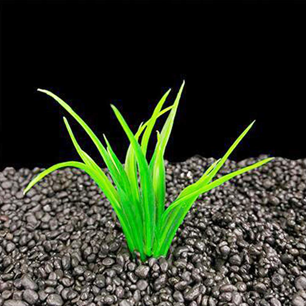 Smoothedo-Pets Aquarium Plants Fish Tank Decorations 20Pcs Small Size/1Inch Tall Plastic Artificial Plant Goldfish Waterscape Fish Hides Mini Grass Set (Green-B)