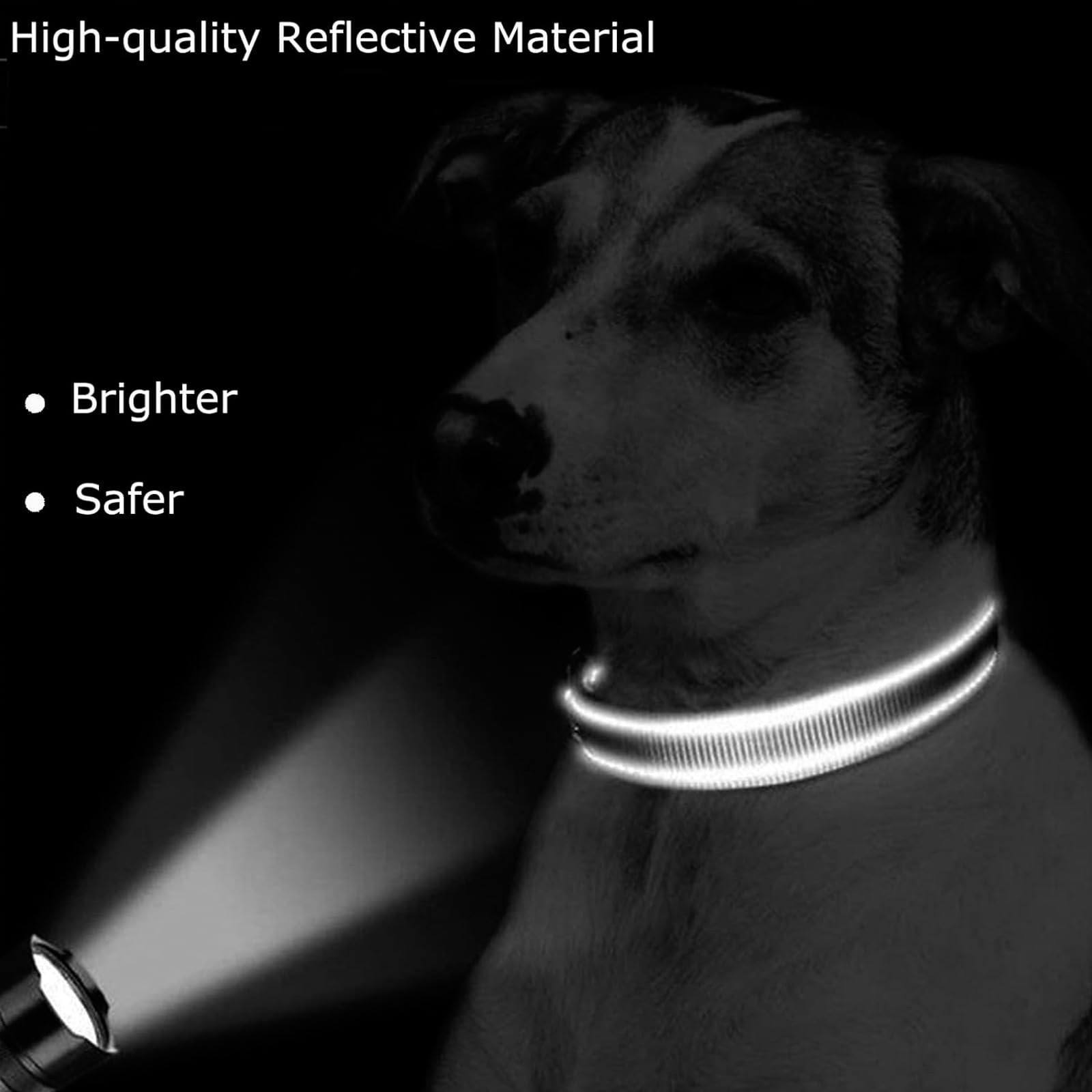 Roses&Poetry Reflective Dog Collar With Gradient Azure, Adjustable Durable Pet Collars For Small Medium Large Dogs (Azure-M