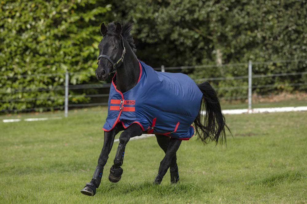 Amigo Mio Turnout Sheet Lite Black/Turquoise/Black 81