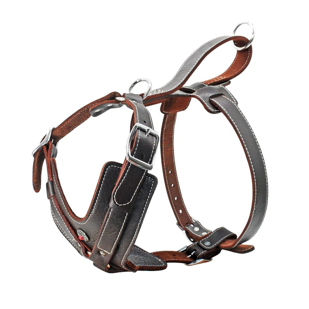 PET ARTIST Heavy Duty Leather Dog Harness for Medium Dogs